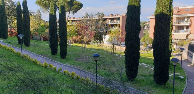 appartamento in affitto a Roma in zona Trionfale