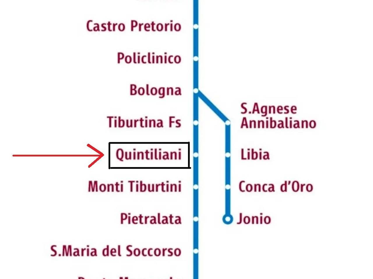negozio in affitto a Roma in zona Collatino