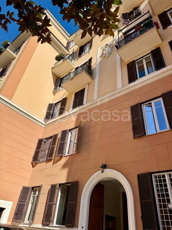 appartamento in affitto a Roma in zona Trieste