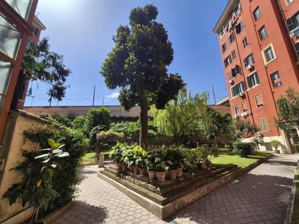 appartamento in affitto a Roma in zona Tiburtino