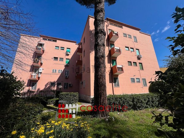 appartamento in affitto a Roma in zona Vigna Murata