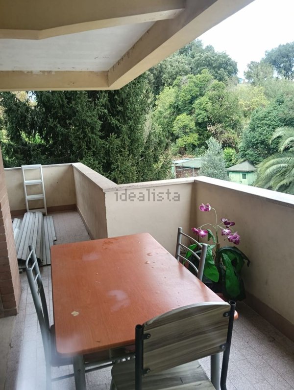 appartamento in affitto a Roma in zona Trionfale