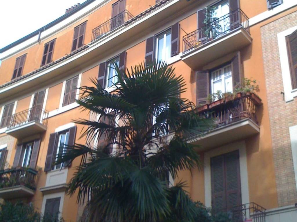 appartamento in affitto a Roma in zona Flaminio