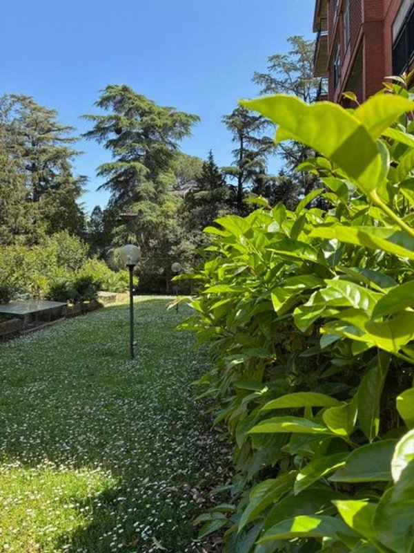 appartamento in affitto a Roma in zona Mostacciano