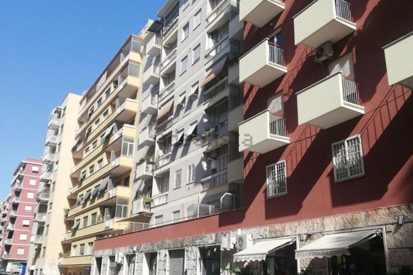 appartamento in affitto a Roma in zona Monte Sacro/Talenti