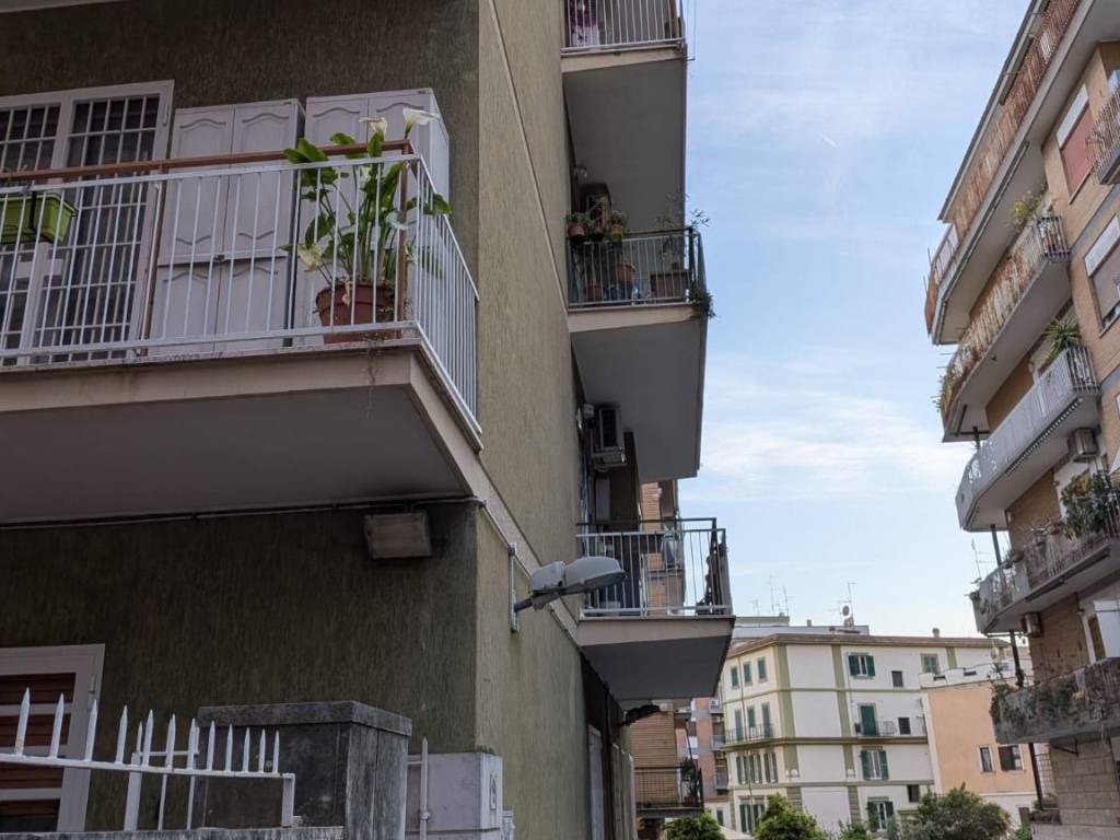 appartamento in affitto a Roma in zona Appio Latino