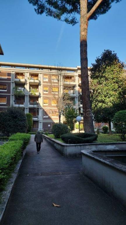 appartamento in affitto a Roma in zona Tuscolano