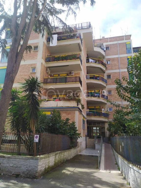 appartamento in affitto a Roma in zona Ostia