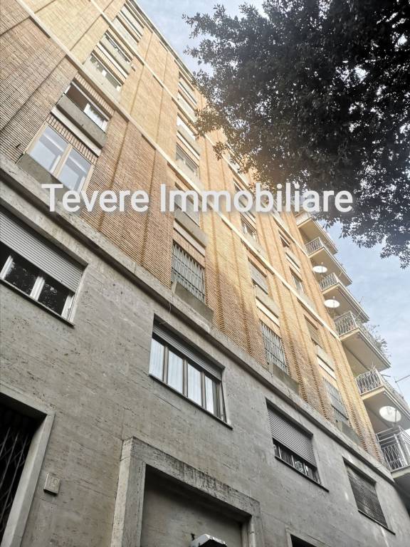 appartamento in affitto a Roma in zona Ardeatino