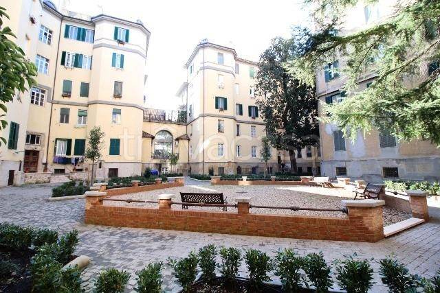 appartamento in affitto a Roma in zona Flaminio