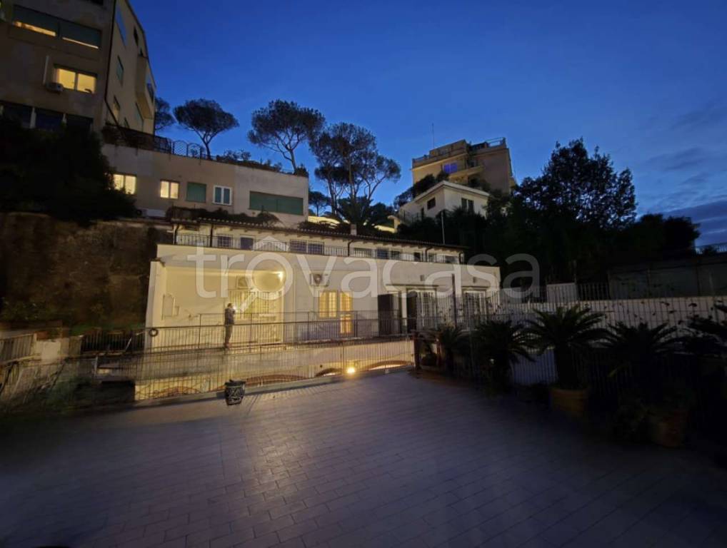 appartamento in affitto a Roma in zona Parioli