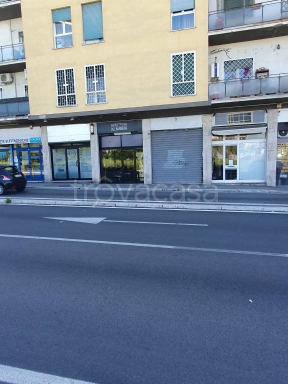 negozio in affitto a Roma in zona Monte Sacro/Talenti