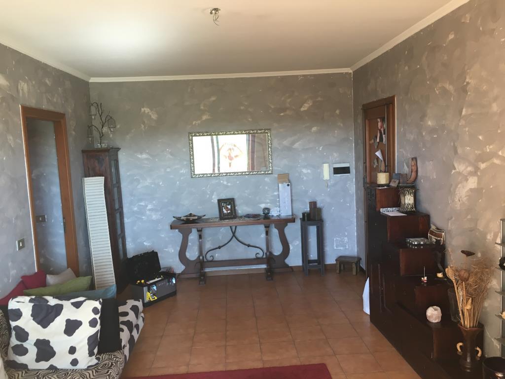 appartamento in affitto a Roma in zona Monte Sacro/Talenti