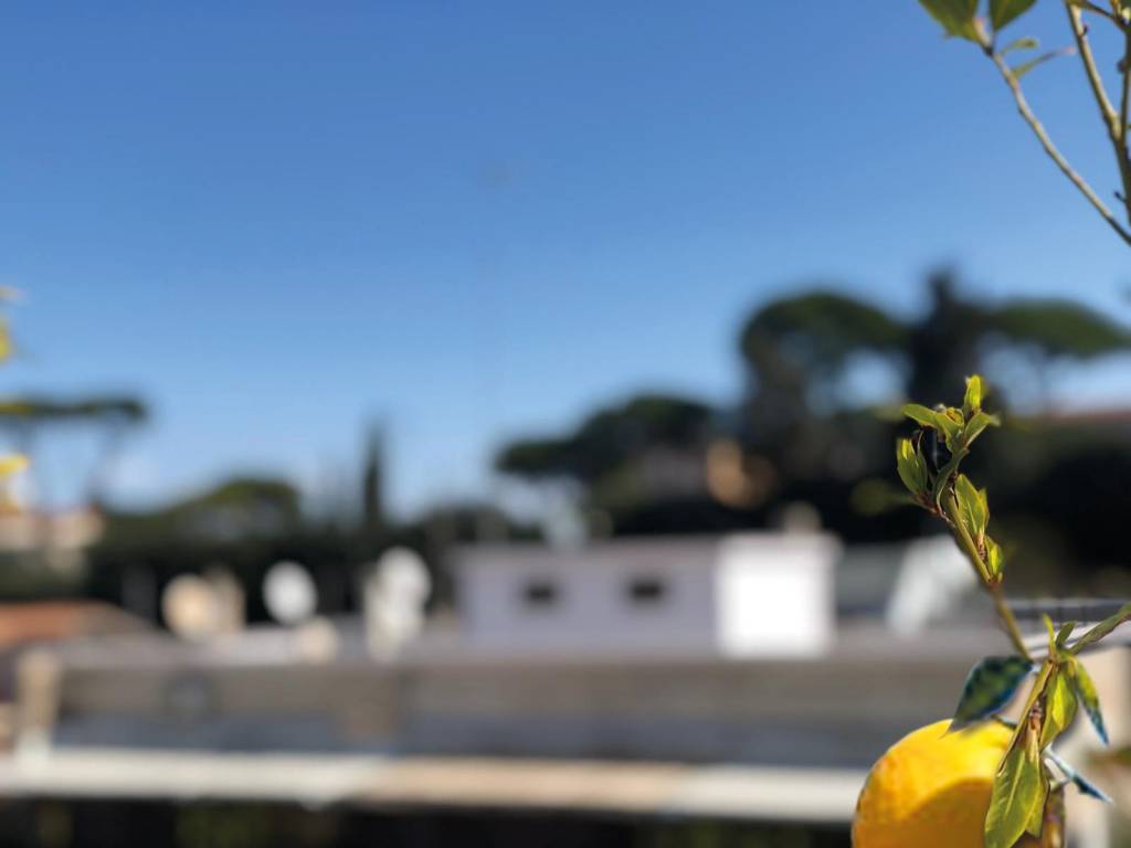 appartamento in affitto a Roma in zona Aurelio