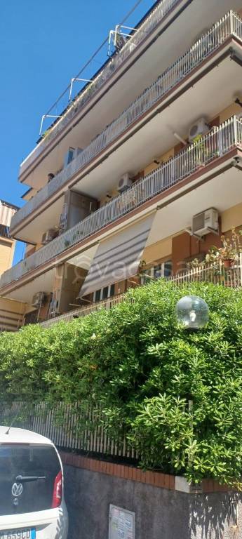 appartamento in affitto a Roma in zona Torrevecchia
