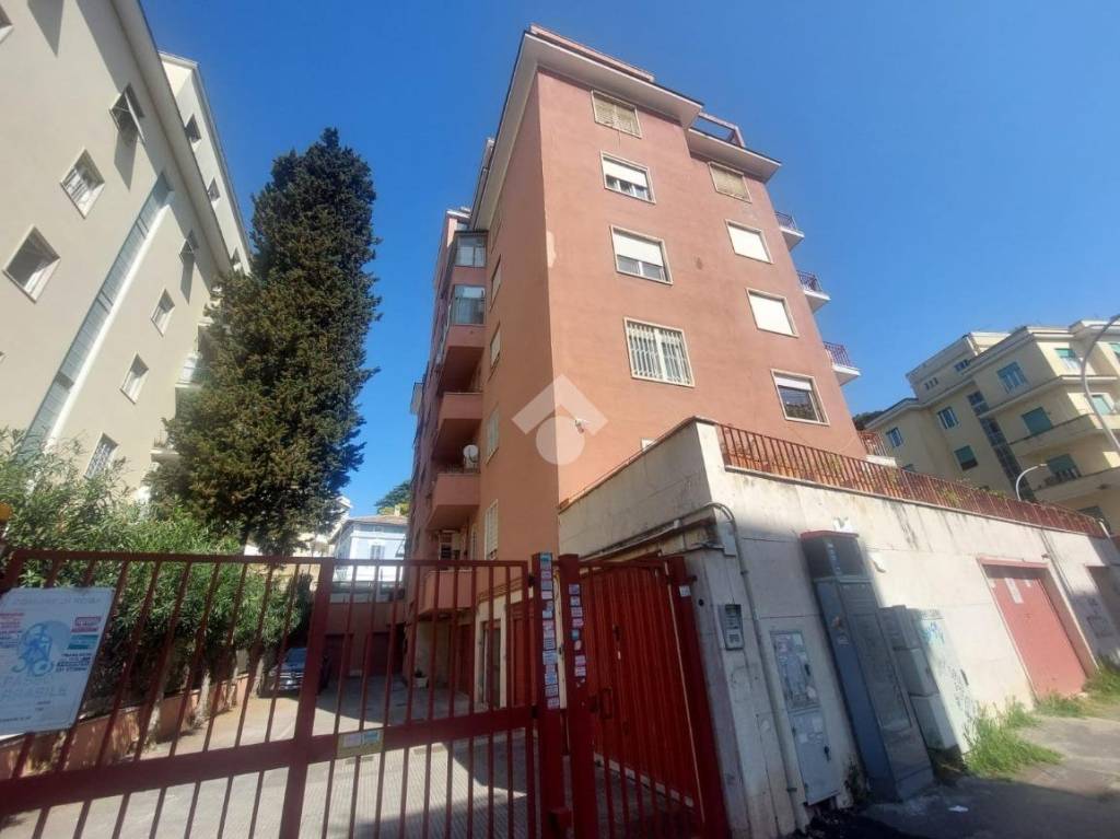 appartamento in affitto a Roma in zona Gianicolense