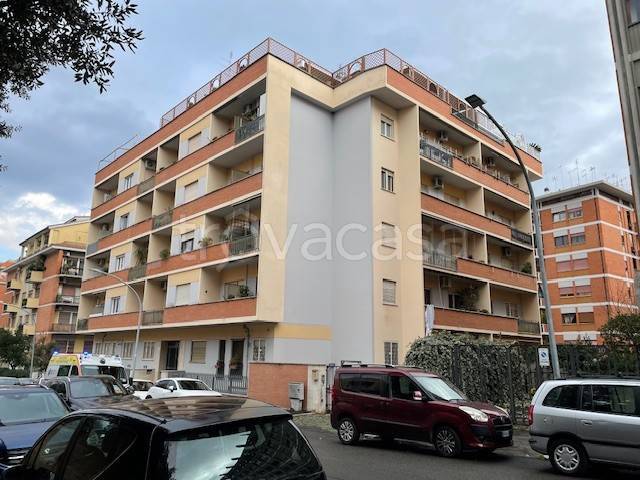 appartamento in affitto a Roma in zona Tuscolano