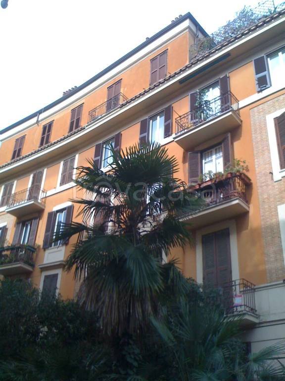 appartamento in affitto a Roma in zona Parioli