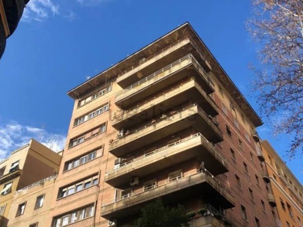 appartamento in affitto a Roma in zona Flaminio