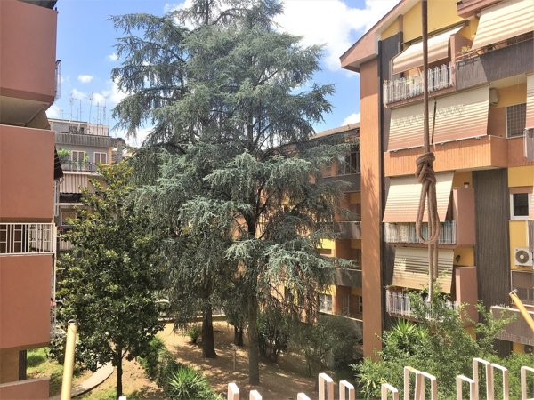 appartamento in affitto a Roma in zona Monte Sacro/Talenti