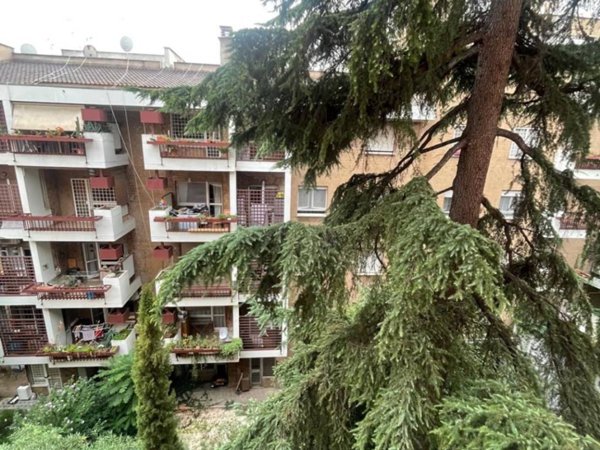 appartamento in affitto a Roma in zona Monte Sacro/Talenti