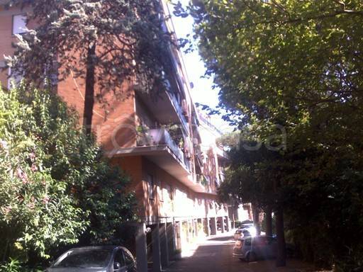appartamento in affitto a Roma in zona Salario