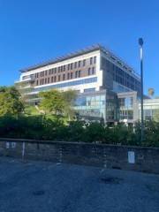 appartamento in affitto a Roma in zona Torrevecchia