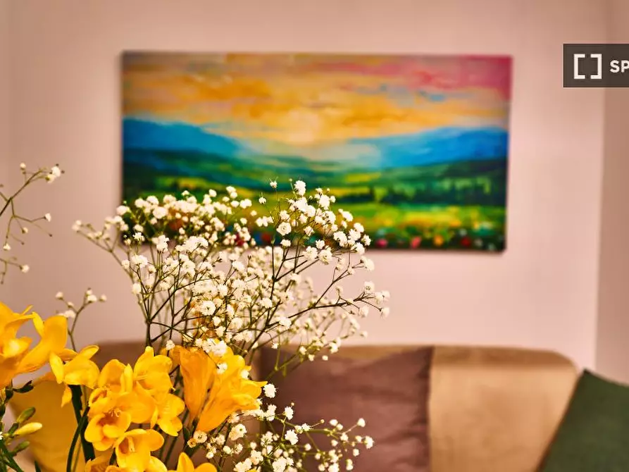 appartamento in affitto a Roma in zona Della Vittoria