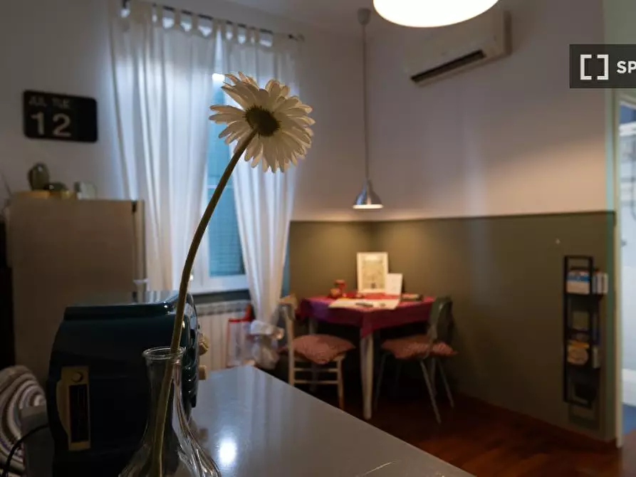 appartamento in affitto a Roma in zona Appio Latino