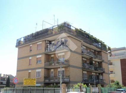 appartamento in affitto a Roma in zona Primavalle