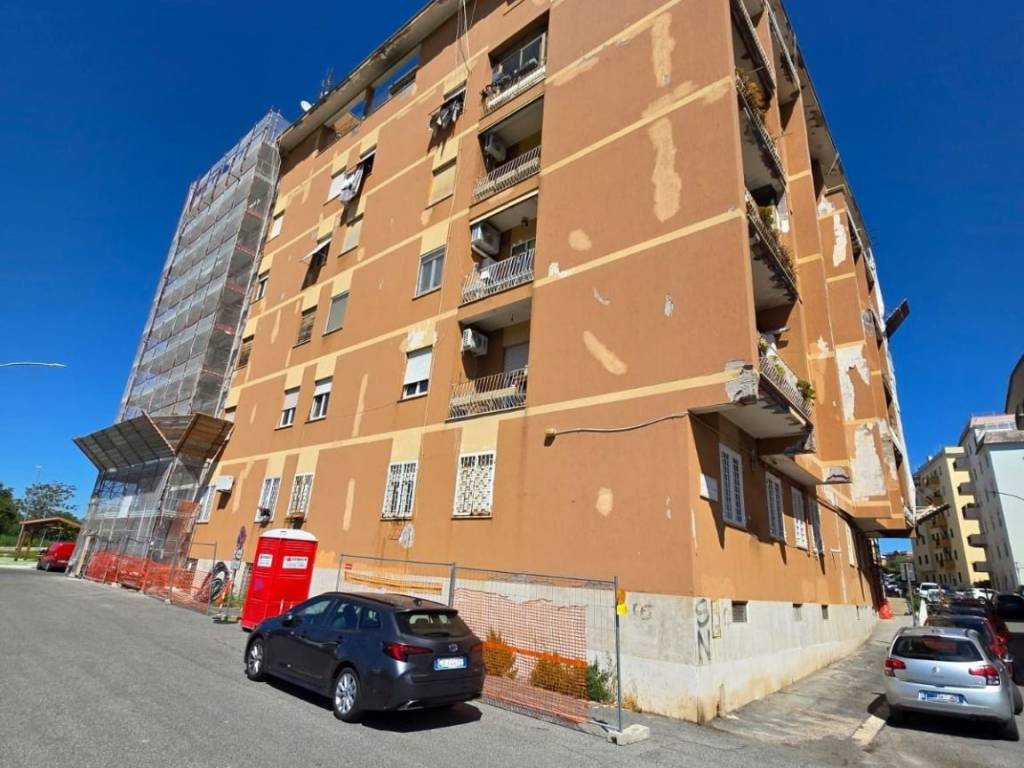 appartamento in affitto a Roma in zona Pietralata