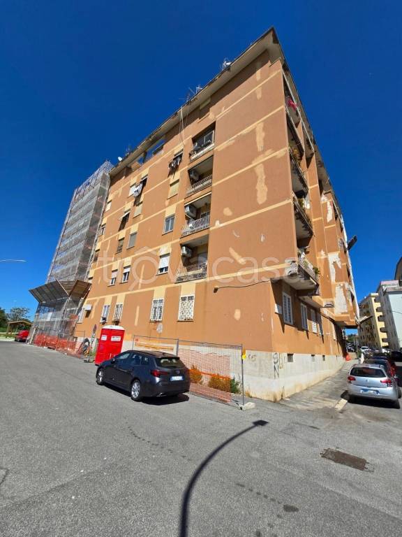 appartamento in affitto a Roma in zona Pietralata