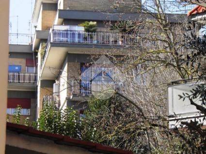 appartamento in affitto a Roma in zona Trionfale