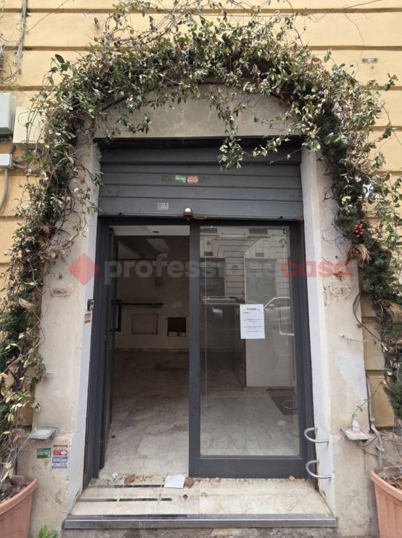 negozio in affitto a Roma in zona Trieste