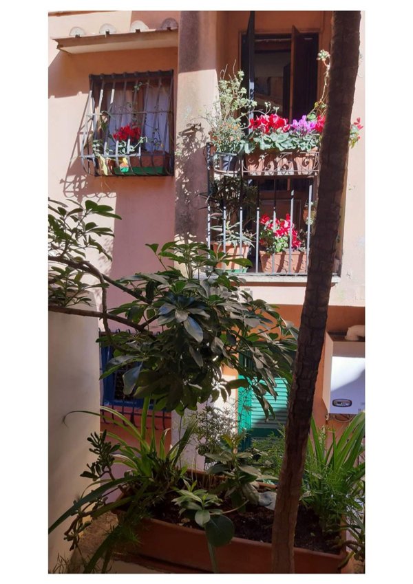 appartamento in affitto a Roma in zona Rione Regola