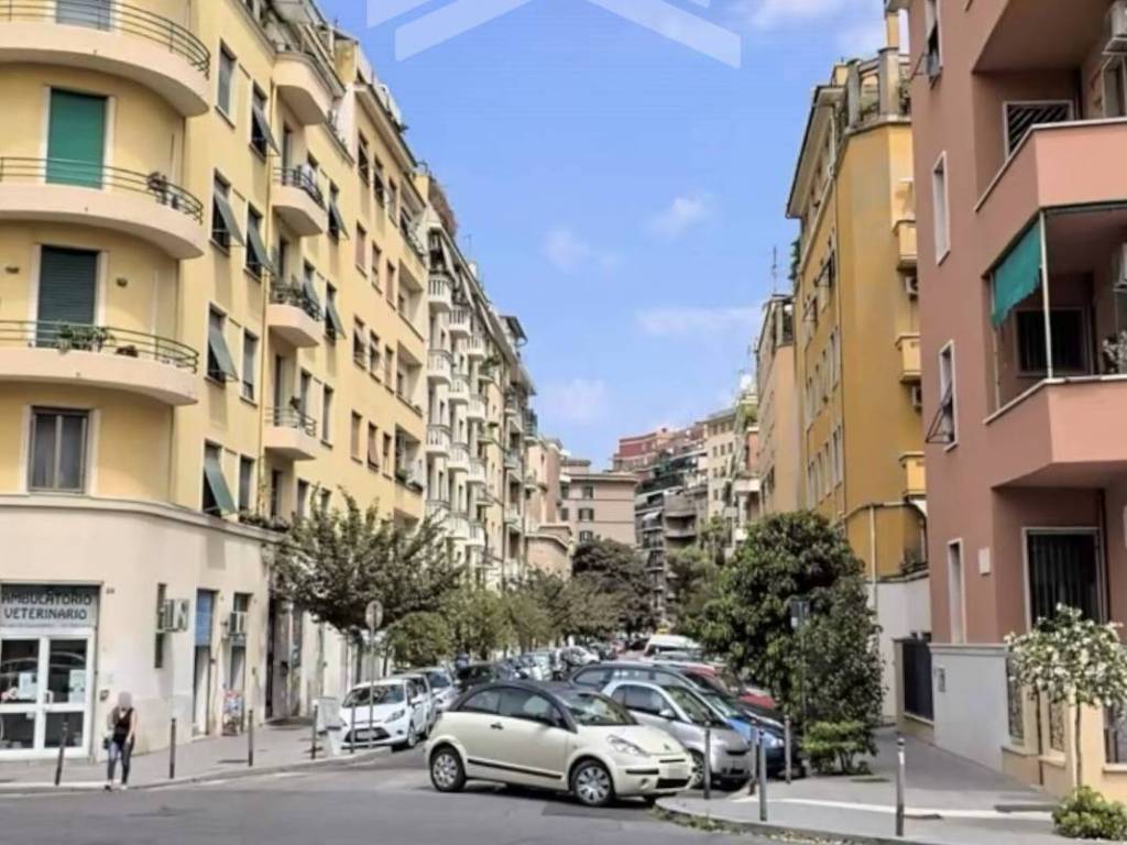 appartamento in affitto a Roma in zona Nomentano