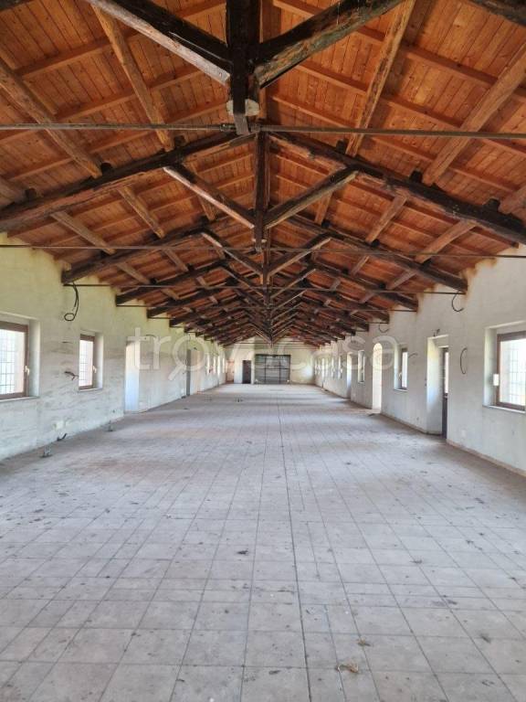 negozio in affitto a Roma in zona Ardeatino