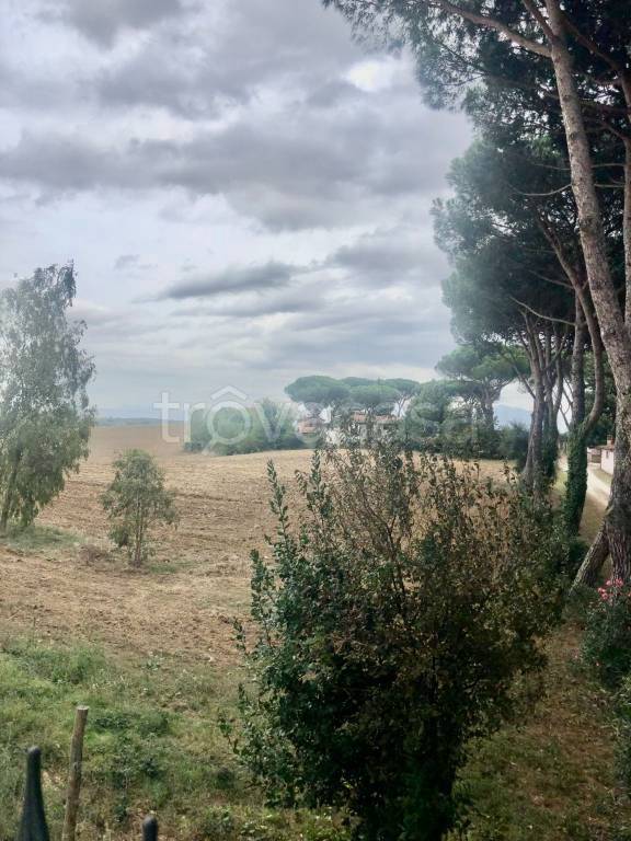 appartamento in affitto a Roma in zona Valle Muricana
