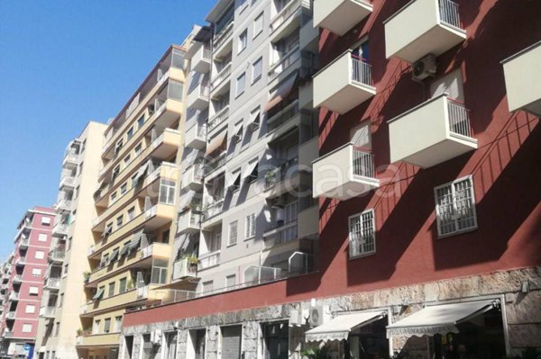 appartamento in affitto a Roma in zona Monte Sacro/Talenti
