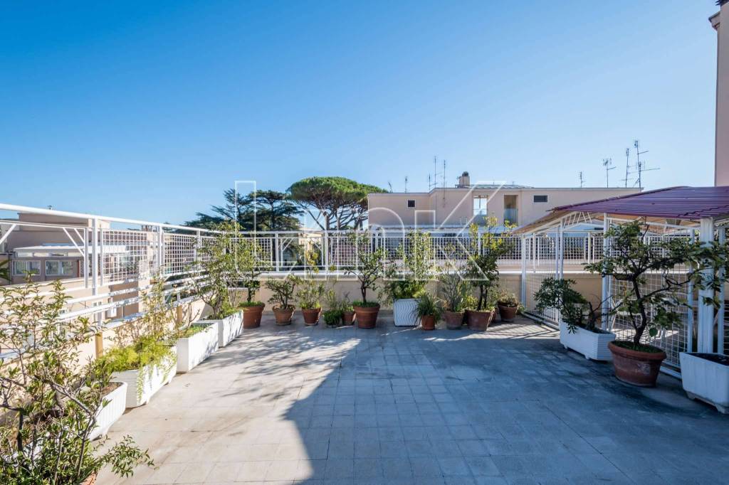 appartamento in affitto a Roma in zona Trieste