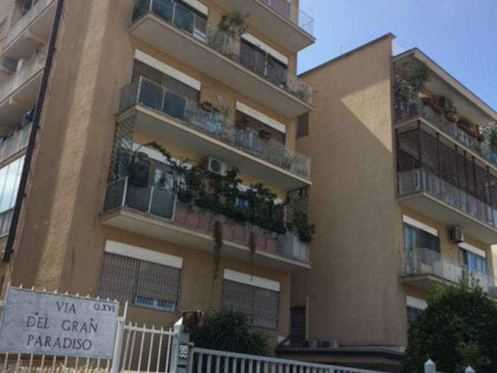 appartamento in affitto a Roma in zona Monte Sacro/Talenti