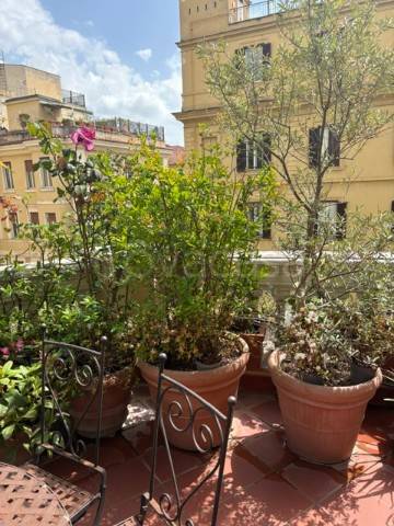 appartamento in affitto a Roma in zona Salario