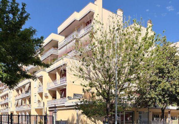 appartamento in affitto a Roma in zona Monte Sacro/Talenti