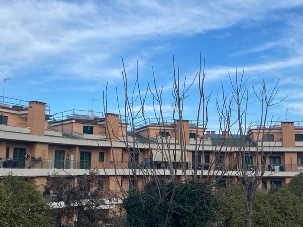 appartamento in affitto a Roma in zona Magliana Vecchia