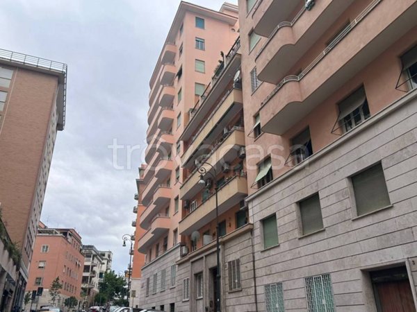 appartamento in affitto a Roma in zona Trieste