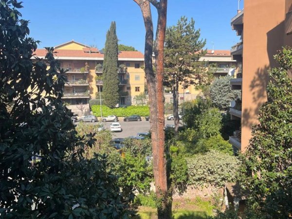 appartamento in affitto a Roma in zona Monte Sacro/Talenti