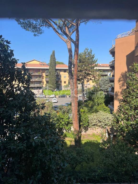 appartamento in affitto a Roma in zona Monte Sacro/Talenti