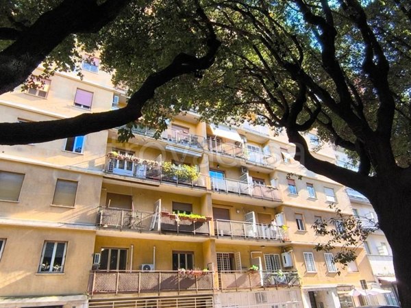 appartamento in affitto a Roma in zona Della Vittoria