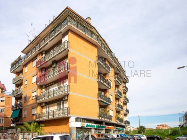 appartamento in affitto a Roma in zona Monte Sacro/Talenti