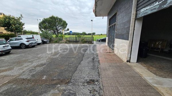 negozio in affitto a Roma in zona Borghesiana